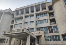 Acuzațiile la adresa lui Ion Tăerel ,,Butoane”, tot mai subțiri! Cum a fost sfârtecat dosarul colos ,,Mafia pădurilor” până când a rămas doar un schelet!