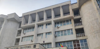 Acuzațiile la adresa lui Ion Tăerel ,,Butoane”, tot mai subțiri! Cum a fost sfârtecat dosarul colos ,,Mafia pădurilor” până când a rămas doar un schelet!