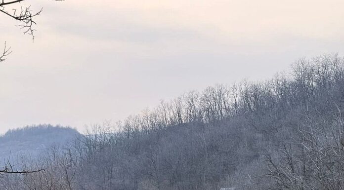 Au început lucrările de reabilitare la sursa de apă Vâja–Clocotiș!