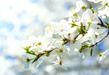 Urmează temperaturi de până la 18 grade