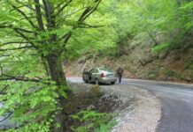 Relieful carstic gorjean – Un veritabil sanctuar al naturii