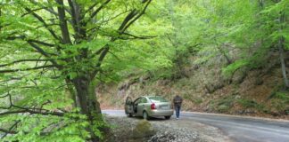 Relieful carstic gorjean – Un veritabil sanctuar al naturii