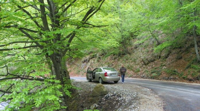Relieful carstic gorjean – Un veritabil sanctuar al naturii