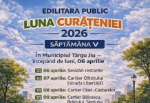 Continuă curățenia în cartierele din Târgu Jiu