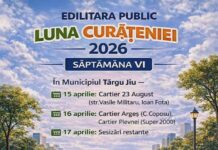 Continuă acțiunile din „Luna Curățeniei” în Târgu Jiu