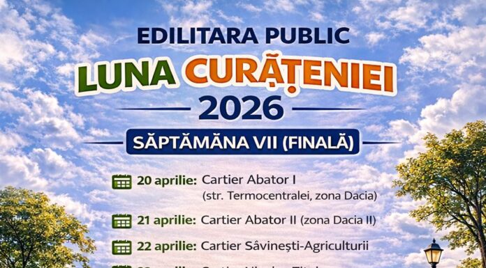 Luna Curățeniei, pe final la Târgu Jiu