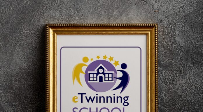 CNTV Târgu Jiu, Școală eTwinning