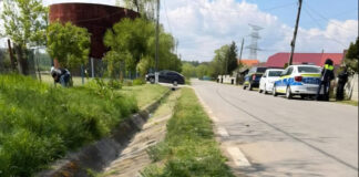 Bărbat reținut după ce a ucis un câine cu sapa