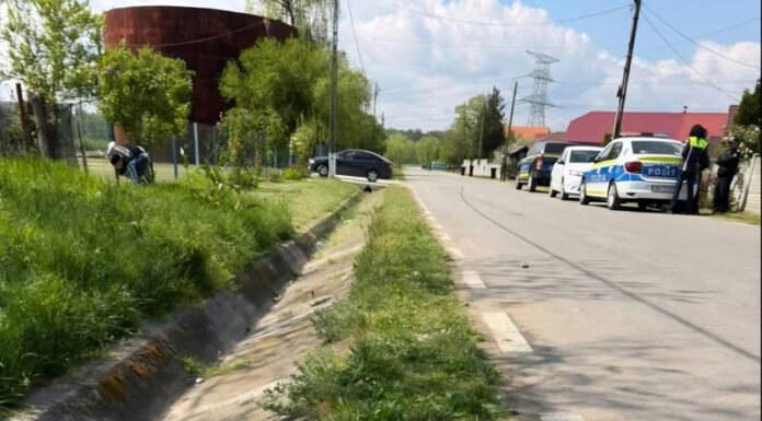 Bărbat reținut după ce a ucis un câine cu sapa