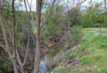 Băleștenii au adus inspectorii de la ABA Jiu în control la stațiile de epurare