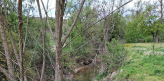Băleștenii au adus inspectorii de la ABA Jiu în control la stațiile de epurare