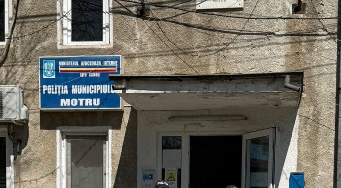 Bărbați acuzați că au îngropat dolari în fața unui bloc din Motru, reținuți pentru un furt colosal