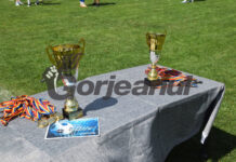 Bălești și Negomir, în finala cupei județene