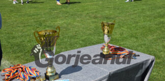 Bălești și Negomir, în finala cupei județene