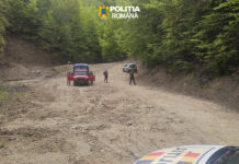 Furt de arbori la Polovragi