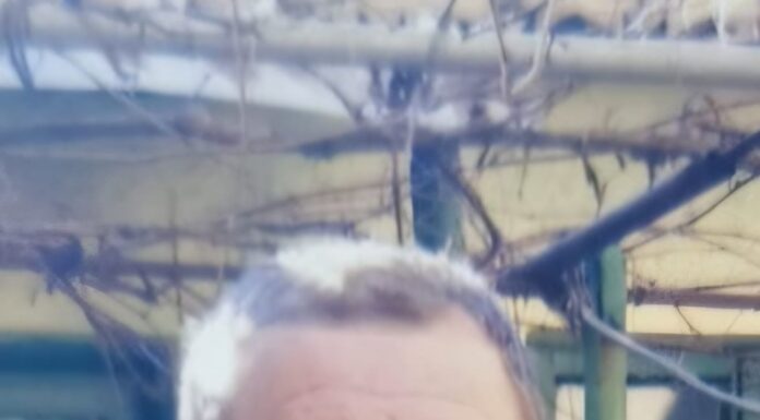 Bărbat din Târgu-Jiu, dispărut la cumpărături