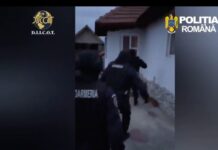 VIDEO: Percheziții în Gorj, la o grupare care vindea droguri elevilor de 15 ani, cu 100 lei gramul