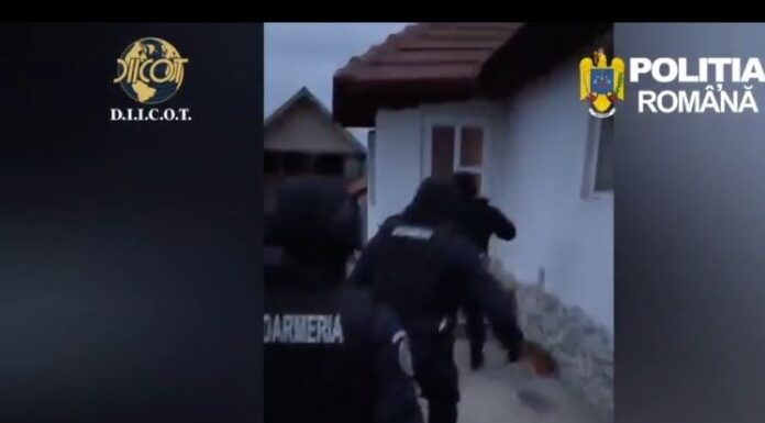 VIDEO: Percheziții în Gorj, la o grupare care vindea droguri elevilor de 15 ani, cu 100 lei gramul