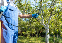 Agricultura pe înțelesul tuturor – Protecția fitosanitară a pomilor fructiferi