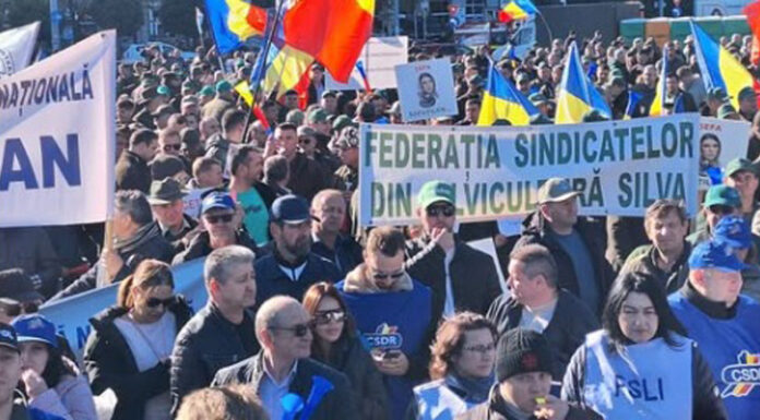 Zeci de mii de angajați din toate domeniile, la marele miting de astăzi, în Piața Victoriei din București
