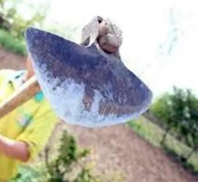 A ajuns în arest, după ce și-a lovit vecina cu sapa în cap