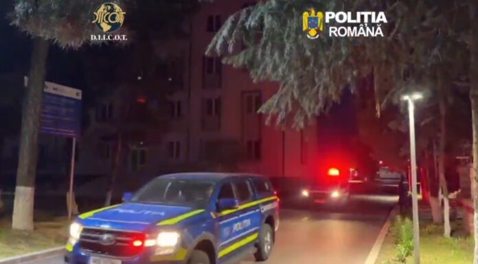 VIDEO: Percheziții în Gorj