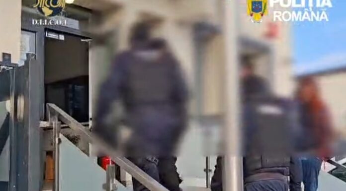 Arestări pe bandă rulantă după percheziții