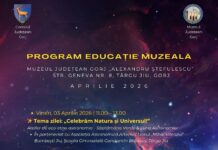 Ateliere creative și evenimente dedicate tinerilor la Muzeul Județean