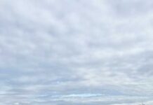 Firmă din Târgu Jiu, amendată de comisarii de mediu