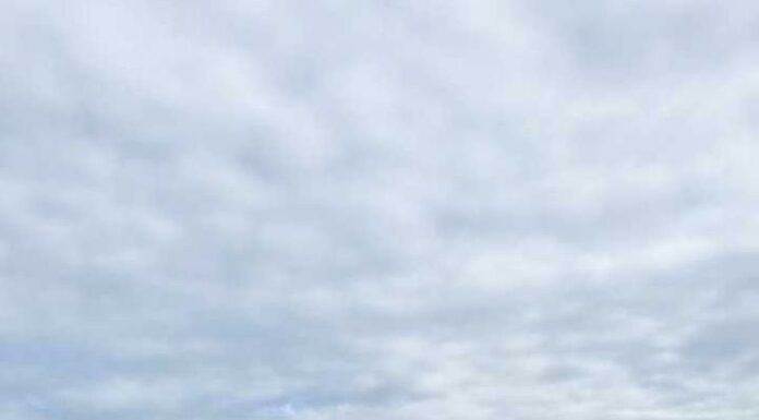 Firmă din Târgu Jiu, amendată de comisarii de mediu