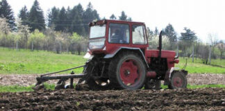 Agricultura pe înțelesul tuturor – Calendarul lucrărilor agricole în luna aprilie