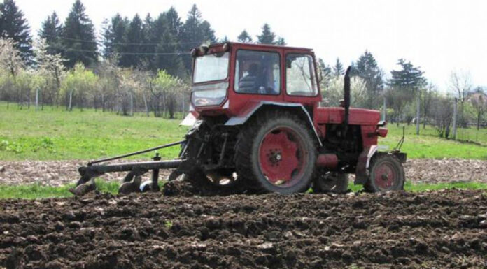 Agricultura pe înțelesul tuturor – Calendarul lucrărilor agricole în luna aprilie