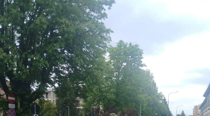 Ziua Forțelor Terestre, marcată azi la Târgu Jiu
