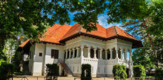 ,,Muzele treze”, o nouă expoziție vernisată azi, la sediul Muzeului Național ,,Constantin Brâncuși”