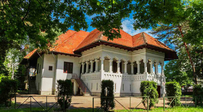 ,,Muzele treze”, o nouă expoziție vernisată azi, la sediul Muzeului Național ,,Constantin Brâncuși”