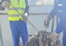 Târgu Jiu: Deșeuri aruncate în canalizare. Avertismentul Aparegio!