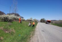 Echipele DRDP Craiova curăță drumurile naționale