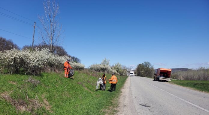 Echipele DRDP Craiova curăță drumurile naționale
