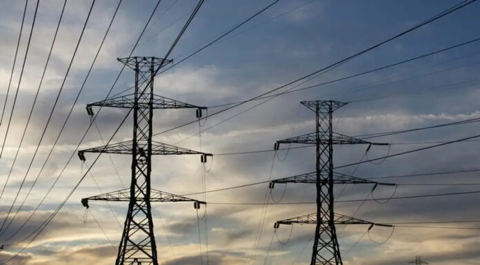 Firmele ,,băieților deștepți” din Energie, fără angajați! 76% dintre aceste firme aveau cifră de afaceri zero