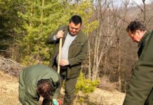 Campania de împăduriri de primăvară continuă în Gorj