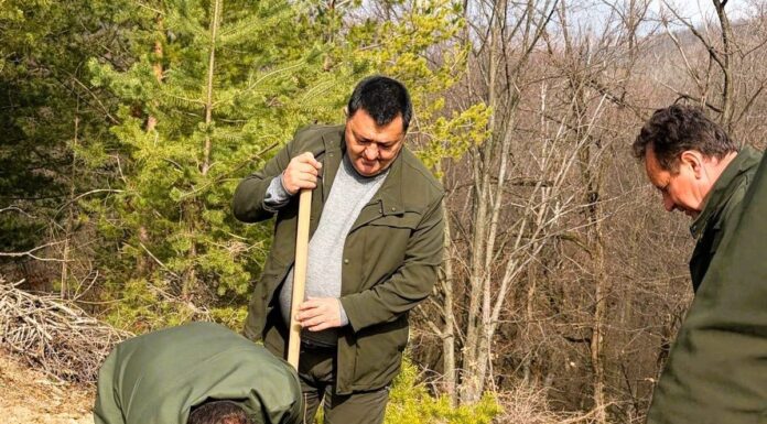 Campania de împăduriri de primăvară continuă în Gorj