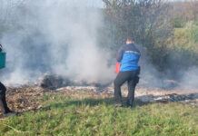 VIDEO: Jandarmii din Runcu, în acțiune pentru stingerea unui incendiu din apropierea unei biserici