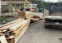 Transport ilegal de lemne din Gorj, oprit de polițiști