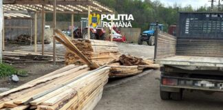 Transport ilegal de lemne din Gorj, oprit de polițiști