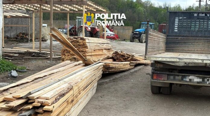 Transport ilegal de lemne din Gorj, oprit de polițiști