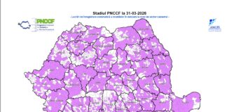 ANCPI: 324 de comune, înregistrate gratuit pentru cetățeni