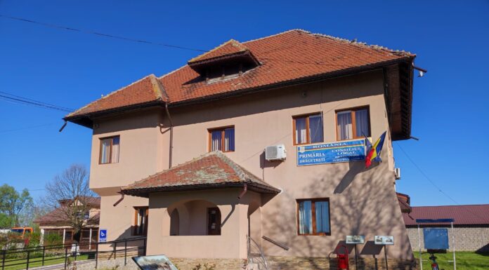 Primăria Drăguțești angajează șofer. Concurs în luna mai