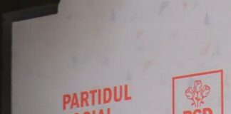 PSD, plângere penală după după comparația cu ”șobolanii”