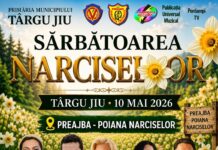 Târgu Jiu: Program special Transloc de „Sărbătoarea Narciselor”
