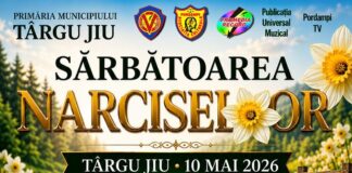 Târgu Jiu: Program special Transloc de „Sărbătoarea Narciselor”